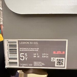 Nike Lebron XX GS White and Gold Shoes